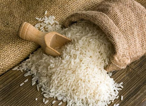 خرید و قیمت برنج ندا مازندران + فروش عمده